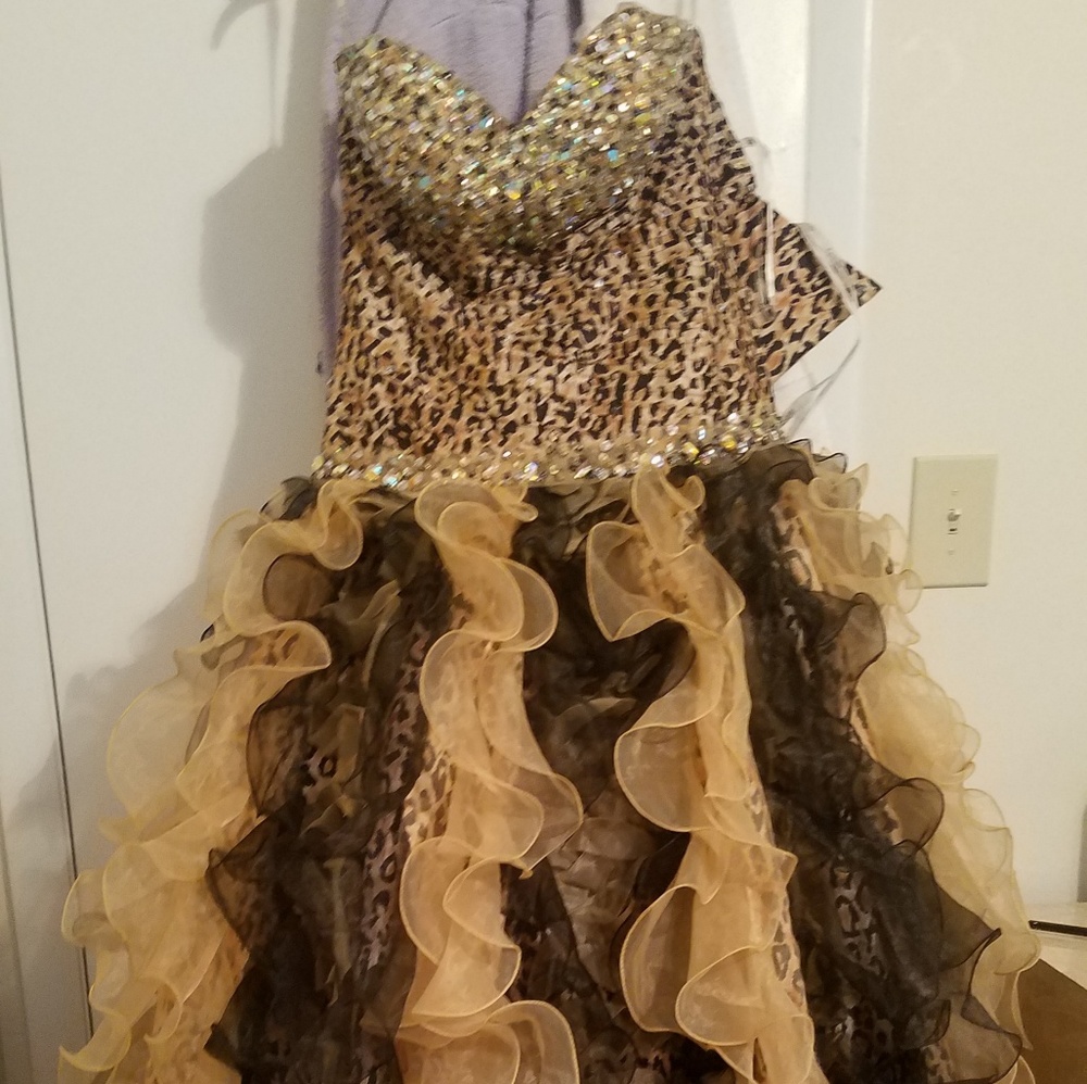 Quinceanera Collection Dress